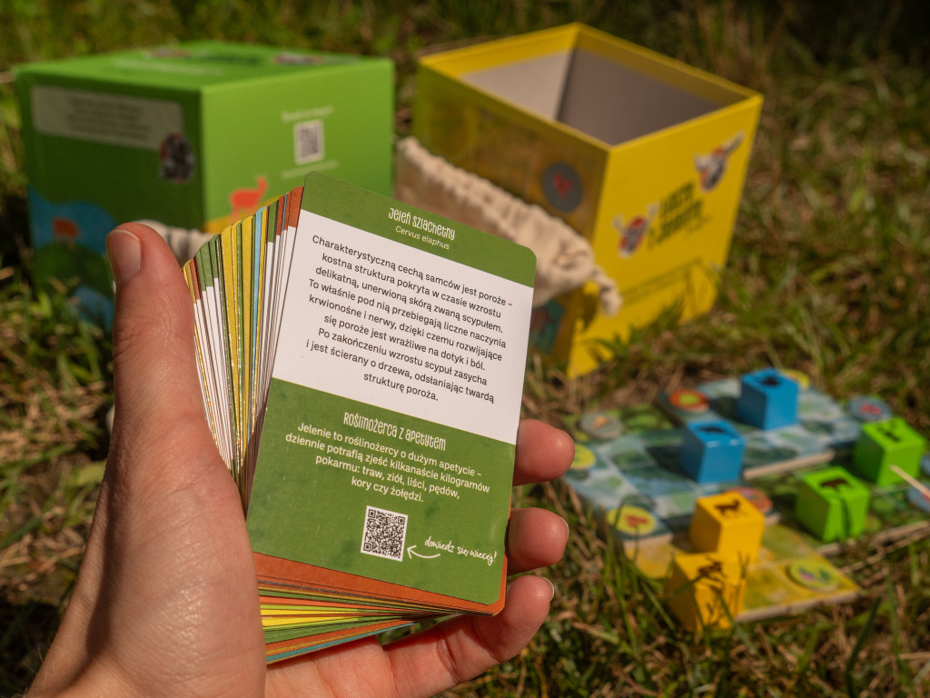 Gra Łosie i Jelenie Józefiny