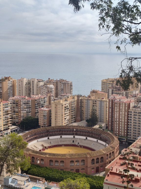 Praktyki uczniów w hiszpańskiej Maladze