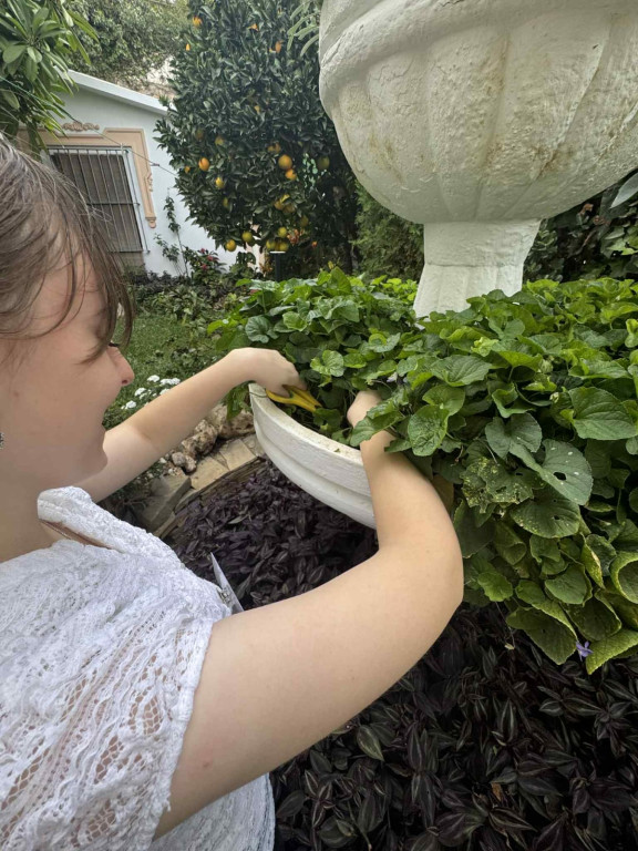 Praktyki uczniów w hiszpańskiej Maladze