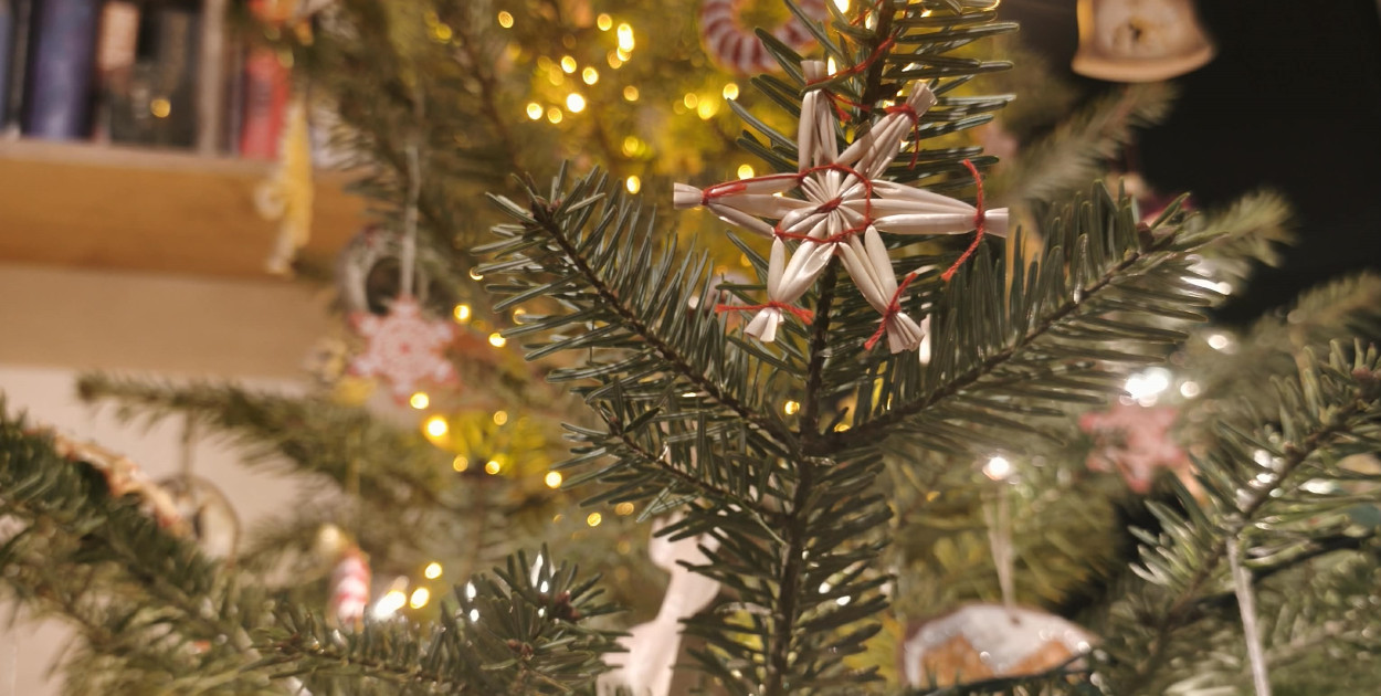 Galeria Waszych choinek 2025