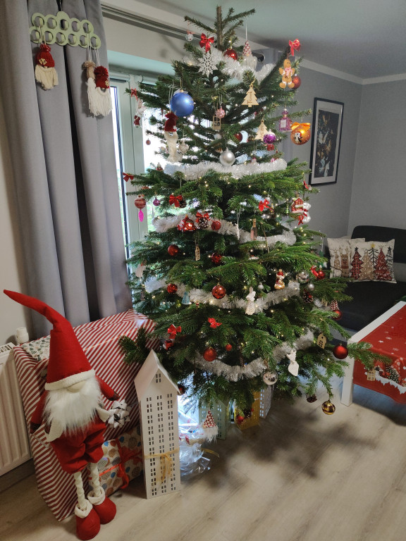 Galeria Waszych choinek 2025