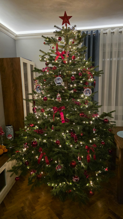 Galeria Waszych choinek 2025