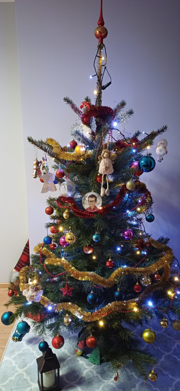 Galeria Waszych choinek 2025