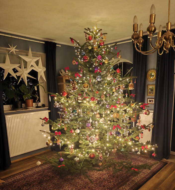 Galeria Waszych choinek 2025