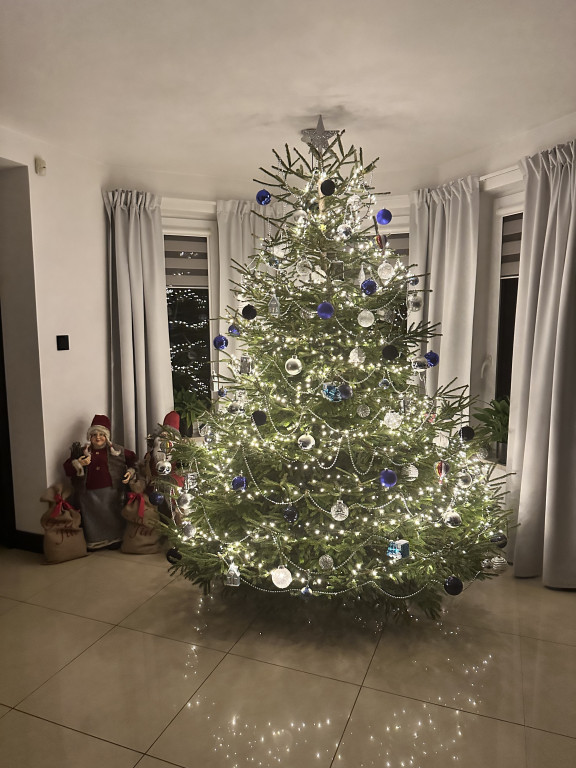 Galeria Waszych choinek 2025