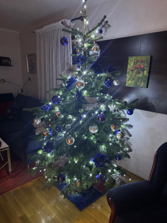 Galeria Waszych choinek 2025