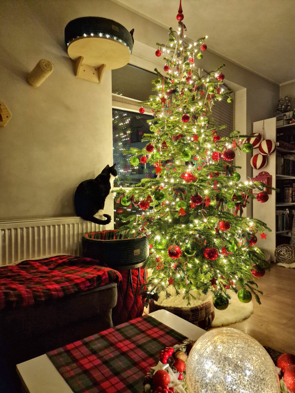 Galeria Waszych choinek 2025