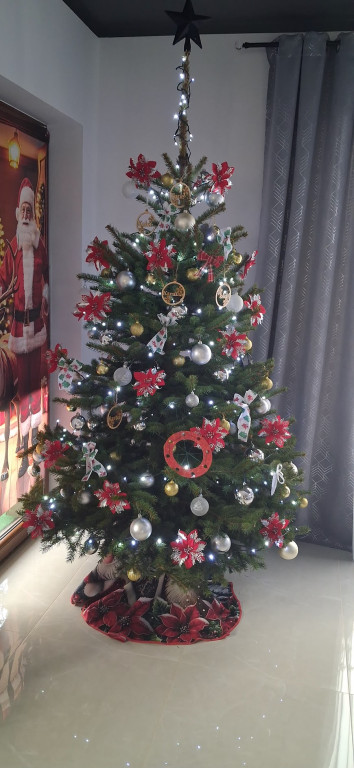 Galeria Waszych choinek 2025