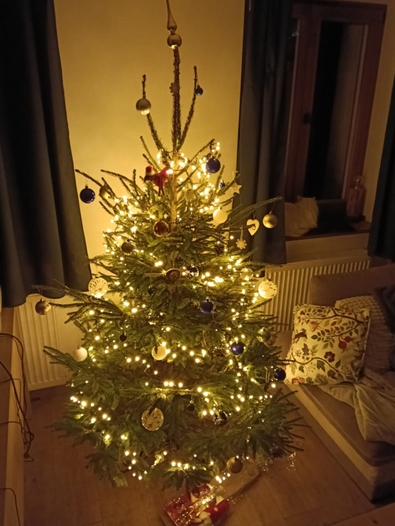 Galeria Waszych choinek 2025