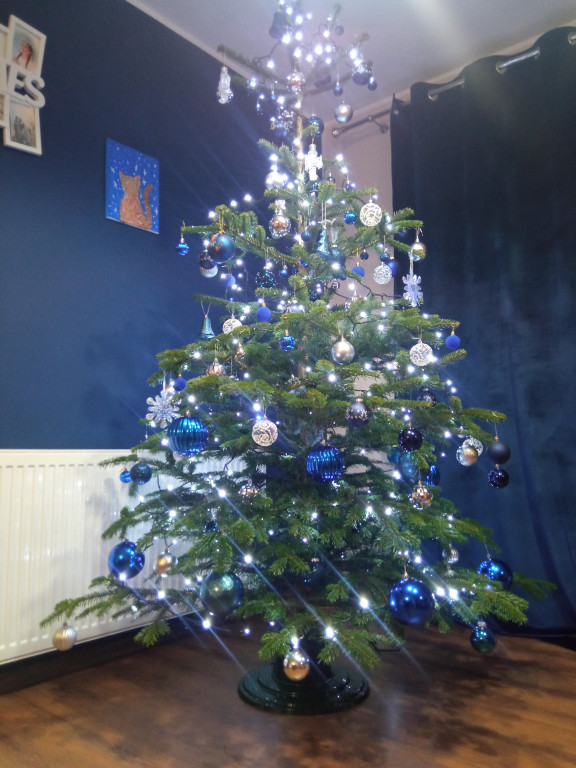 Galeria Waszych choinek 2025