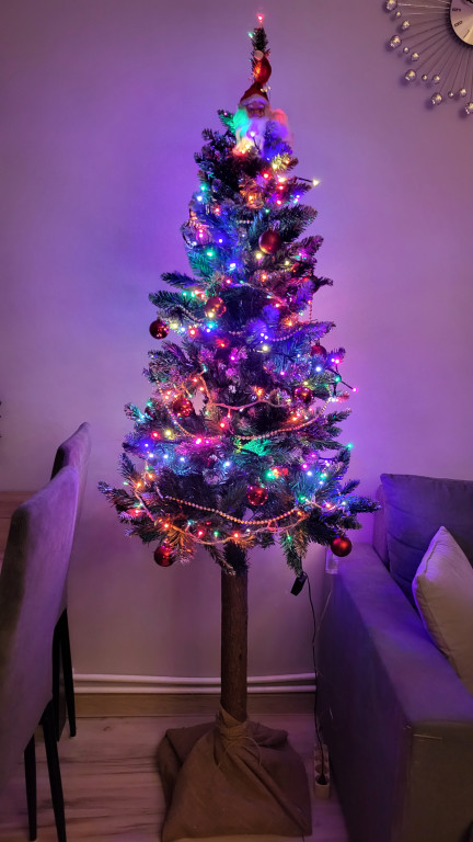 Galeria Waszych choinek 2025