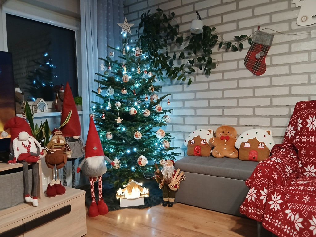 Galeria Waszych choinek 2025