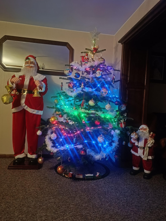 Galeria Waszych choinek 2025