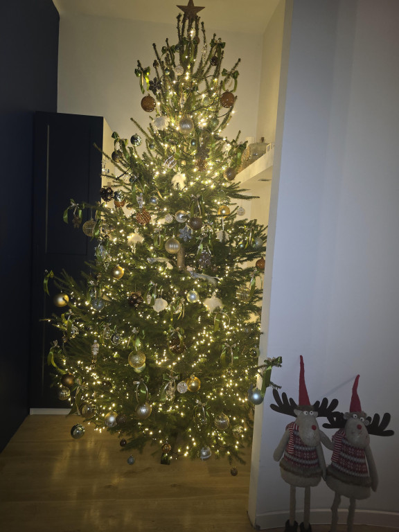 Galeria Waszych choinek 2025