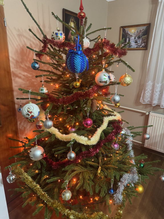 Galeria Waszych choinek 2025