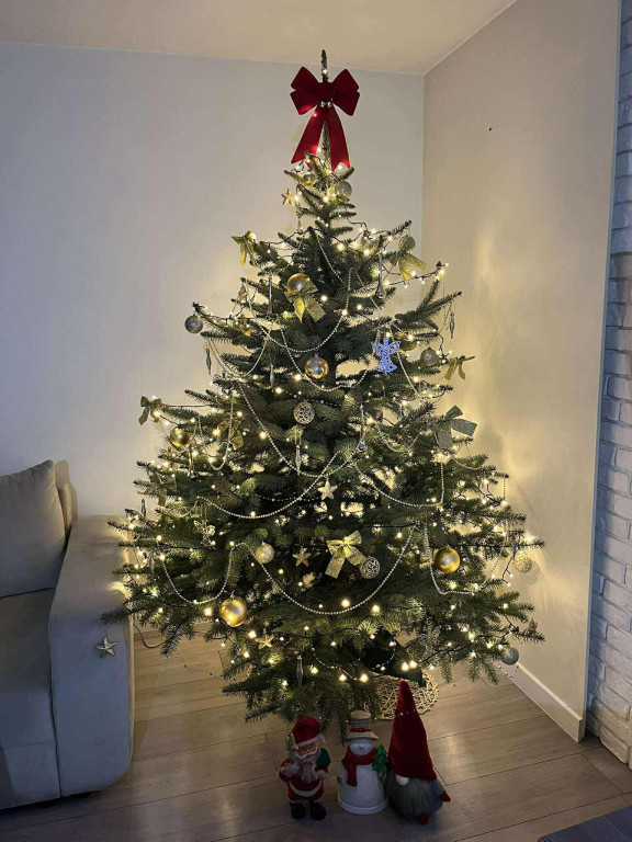 Galeria Waszych choinek 2025