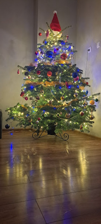 Galeria Waszych choinek 2025