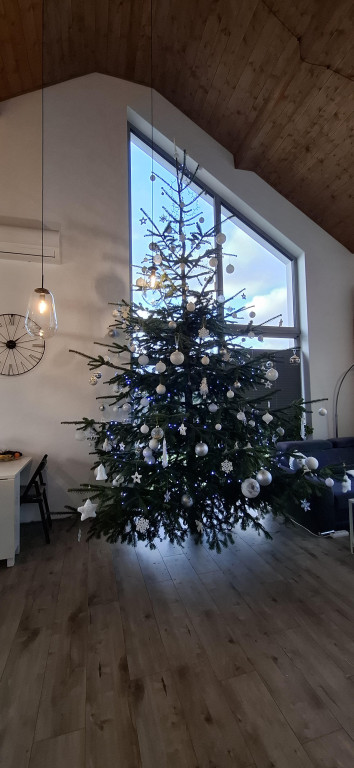 Galeria Waszych choinek 2025