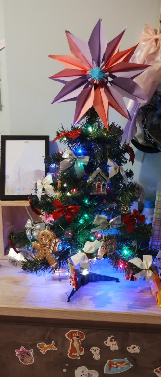 Galeria Waszych choinek 2025