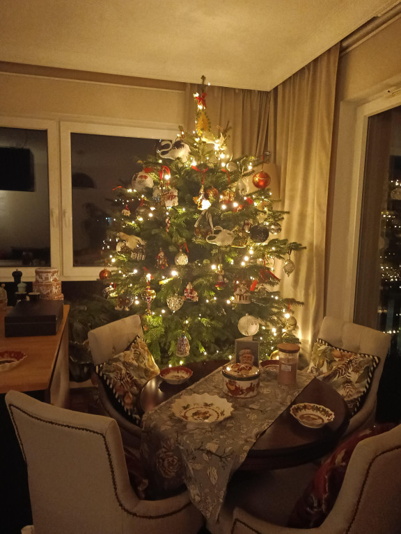 Galeria Waszych choinek 2025