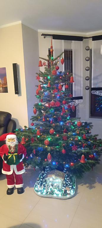 Galeria Waszych choinek 2025