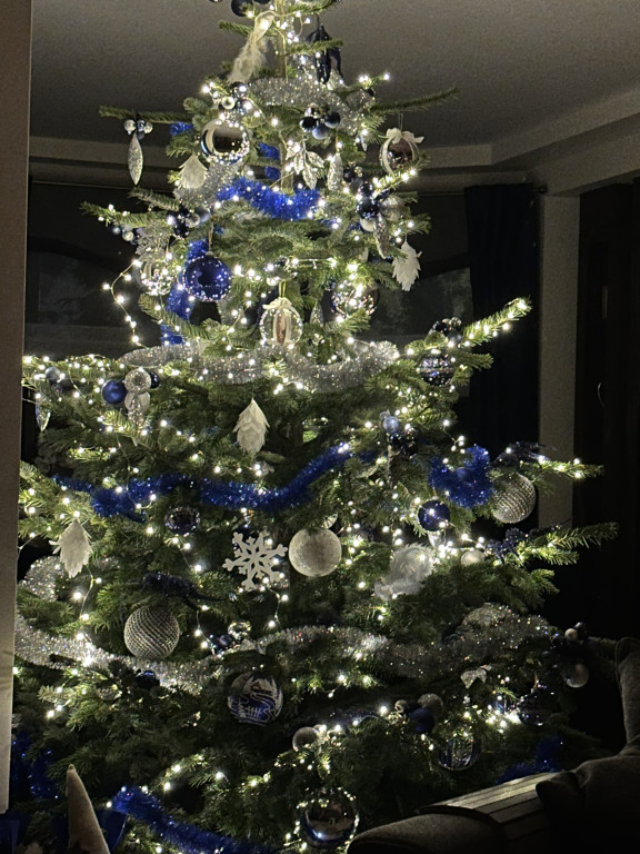 Galeria Waszych choinek 2025