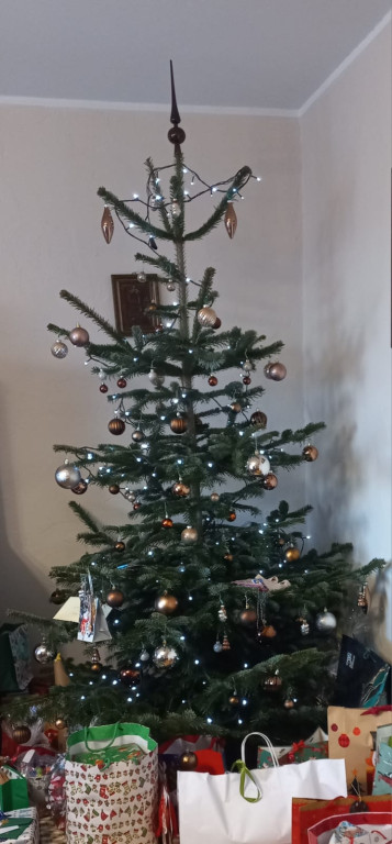 Galeria Waszych choinek 2025