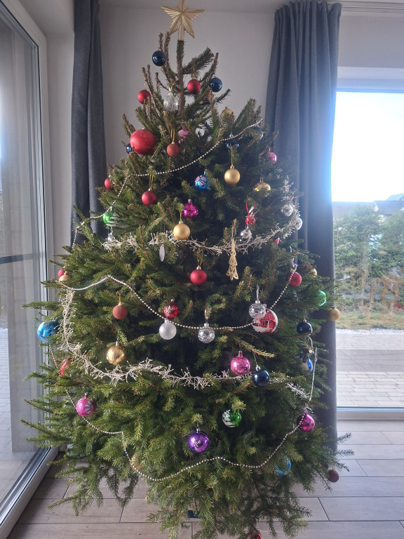 Galeria Waszych choinek 2025