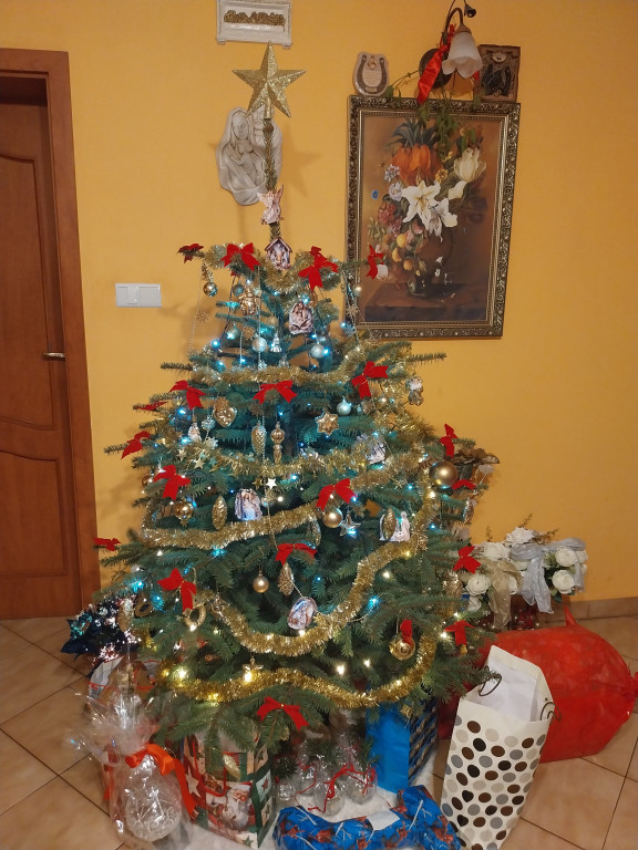 Galeria Waszych choinek 2025