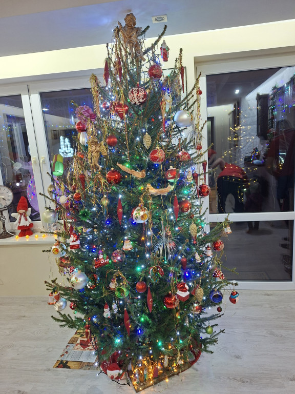 Galeria Waszych choinek 2025