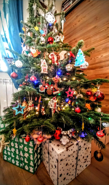 Galeria Waszych choinek 2025