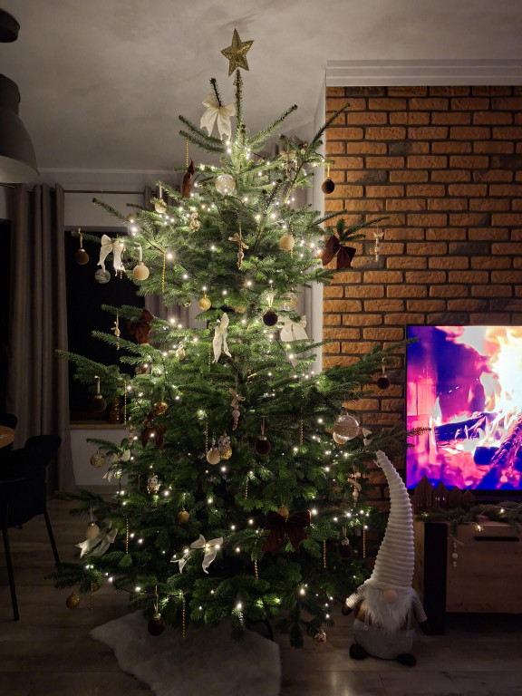 Galeria Waszych choinek 2025