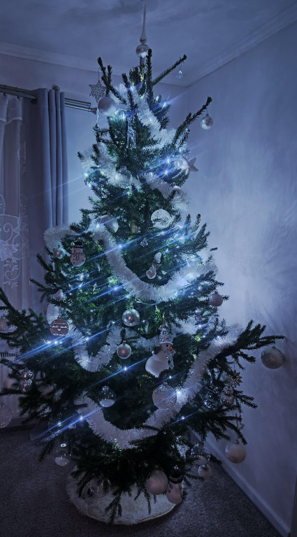 Galeria Waszych choinek 2025