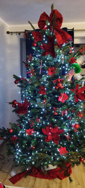 Galeria Waszych choinek 2025