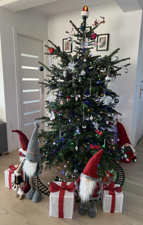 Galeria Waszych choinek 2025