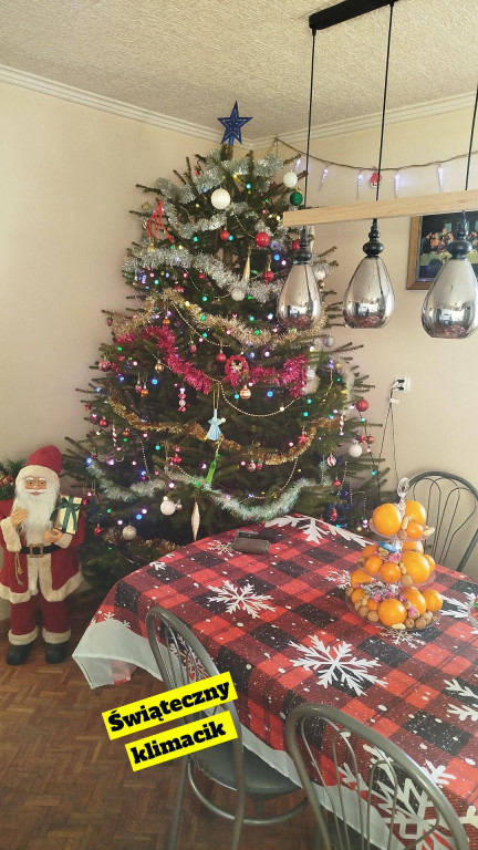 Galeria Waszych choinek 2025