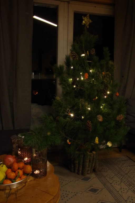 Galeria Waszych choinek 2025