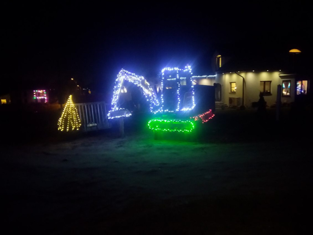 Galeria Waszych choinek 2025