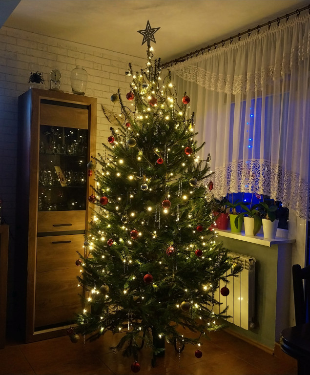 Galeria Waszych choinek 2025