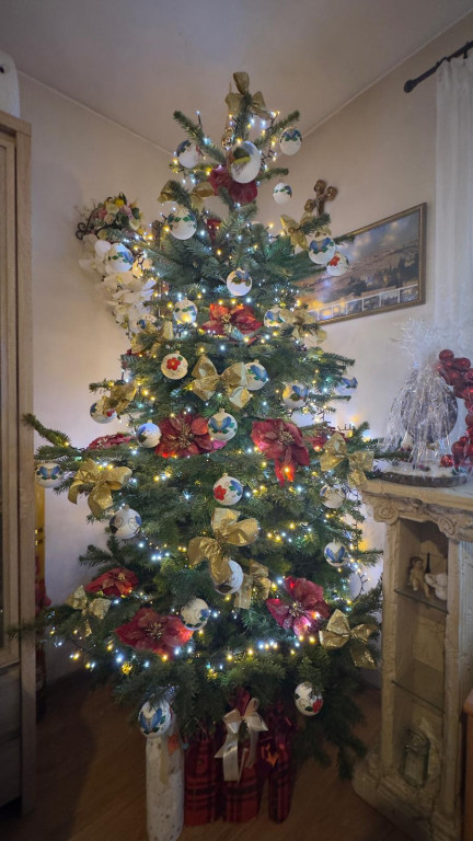 Galeria Waszych choinek 2025