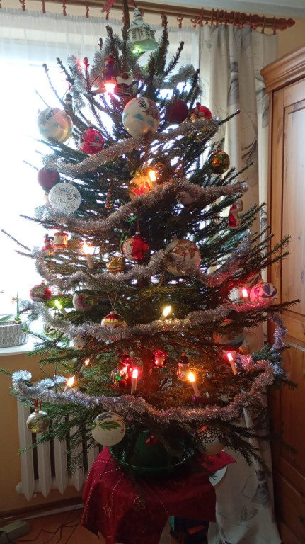 Galeria Waszych choinek 2025