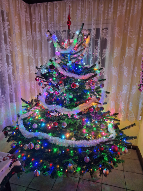 Galeria Waszych choinek 2025