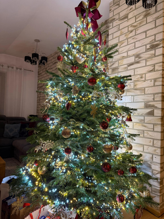 Galeria Waszych choinek 2025