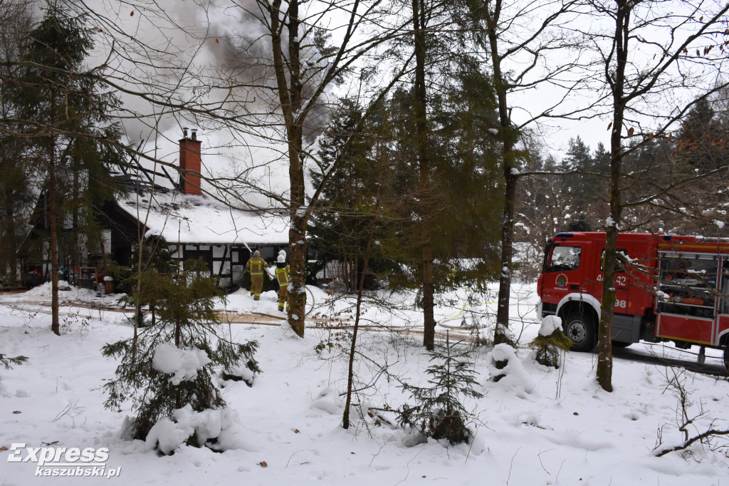Pożar domku letniskowego w Miechucinie