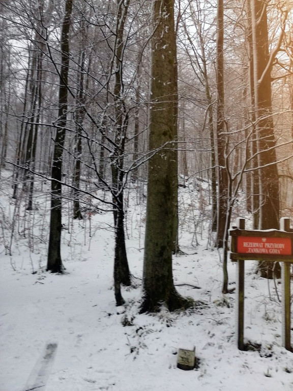 Tajemnice Zamkowej Góry