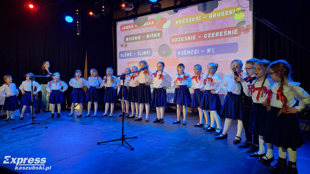 Podsumowanie projektu Rodny Voice