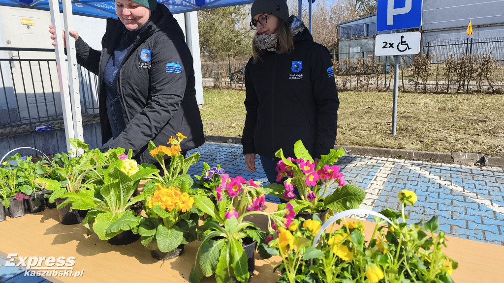 Akcja kwiaty za elektroodpady w Kartuzach