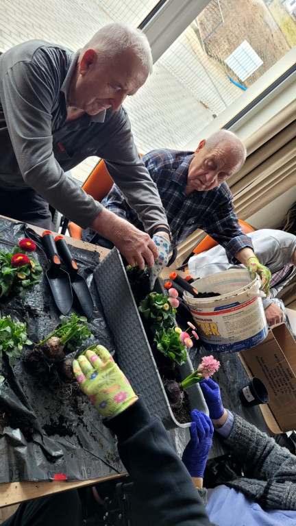 Projekt Wnuczki z Wyboru