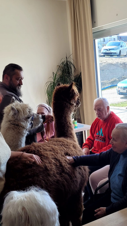 Projekt Wnuczki z Wyboru