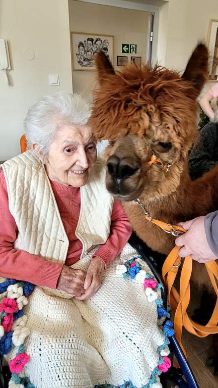 Projekt Wnuczki z Wyboru